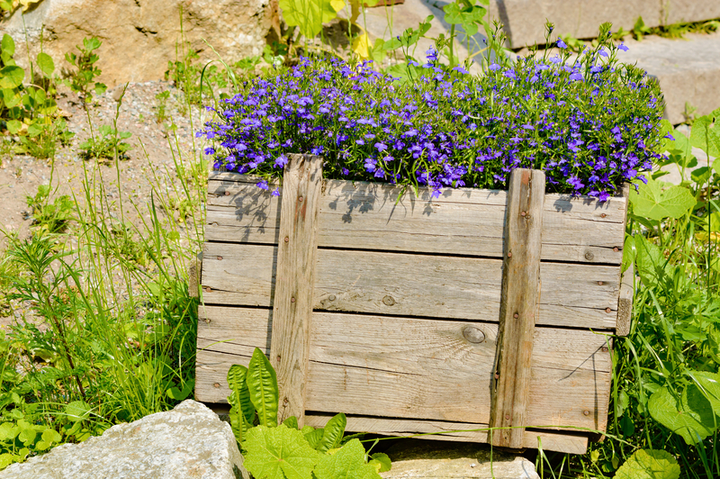 Managing Cardboard Disposal in Urban and Rural Communities